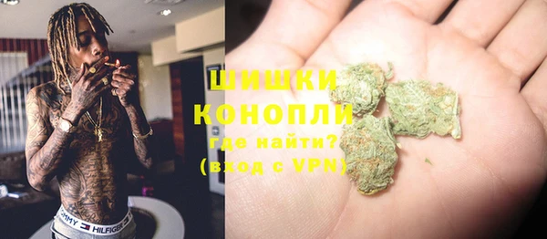 прущие грибы Белоозёрский