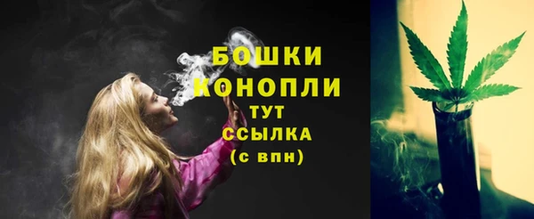 кокс Белокуриха