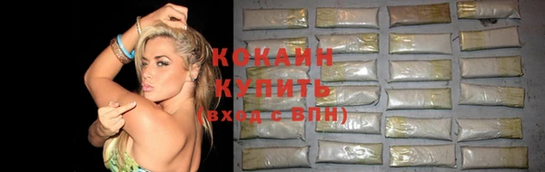 кокс Белокуриха
