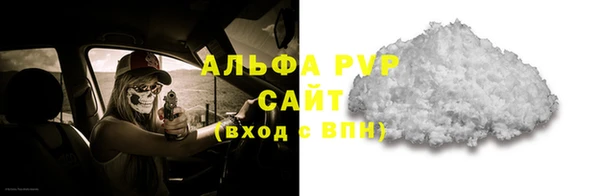 прущие грибы Белоозёрский