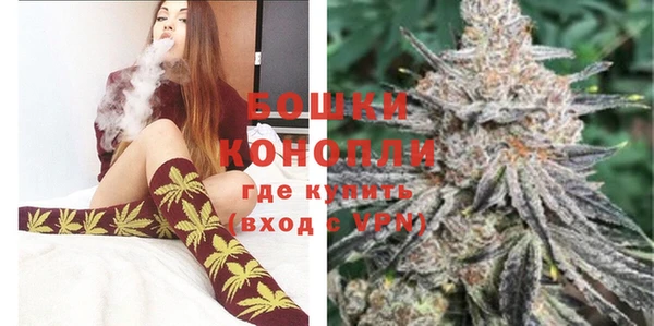 кокс Белокуриха