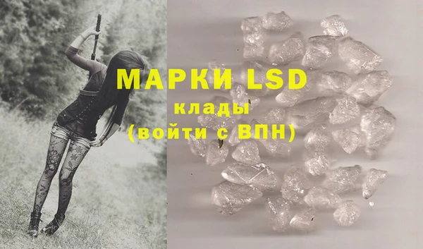 прущие грибы Белоозёрский